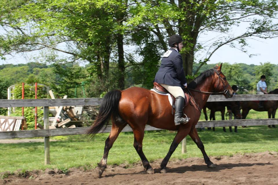 Ashlyn Ryan showing Henry, June 2013